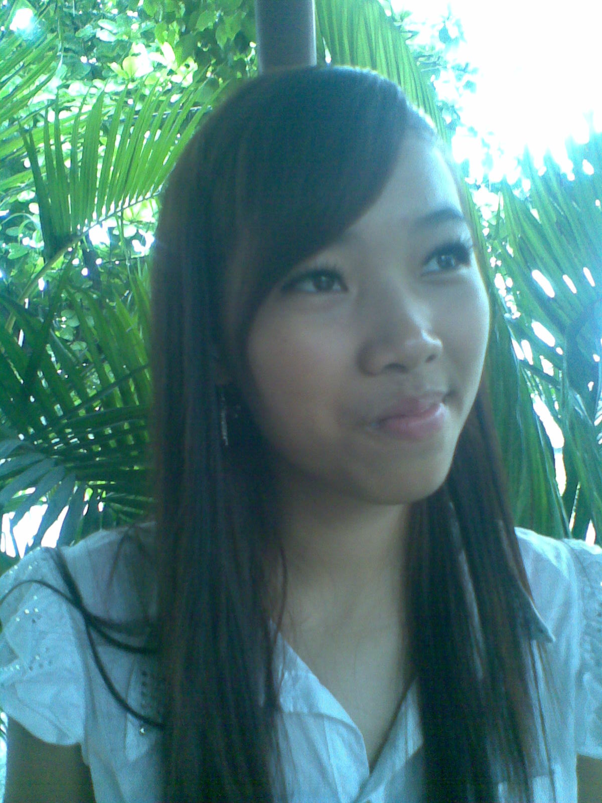 Hnh nh053